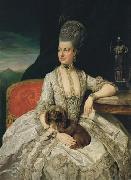 Johann Zoffany Archduchess Maria Christina oil on canvas